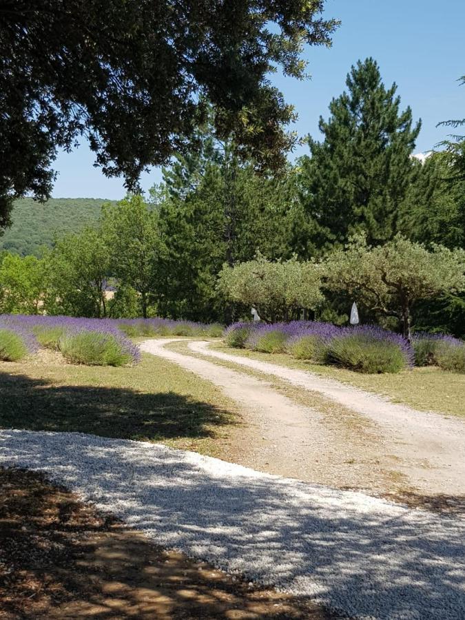 Les Nefliers Gite Cereste Bagian luar foto